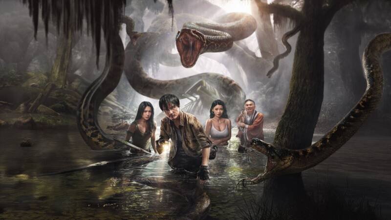 Anaconda