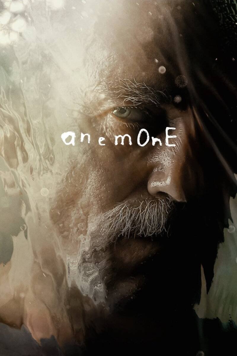 Anemone