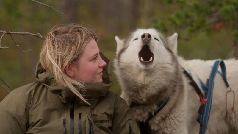 Folktales