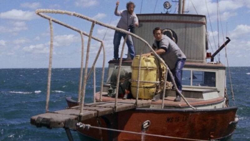 Jaws