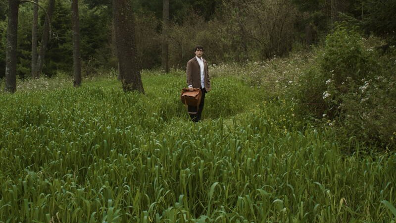 Para atrapar el viento