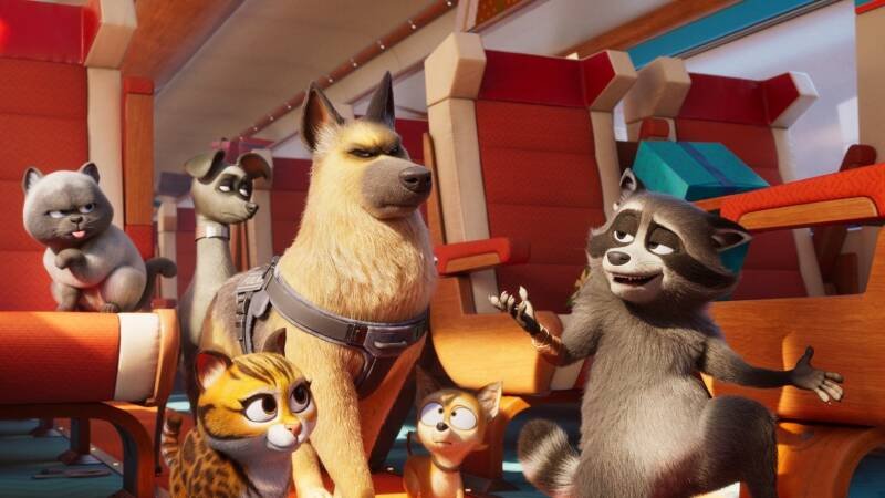 Pets on a Train