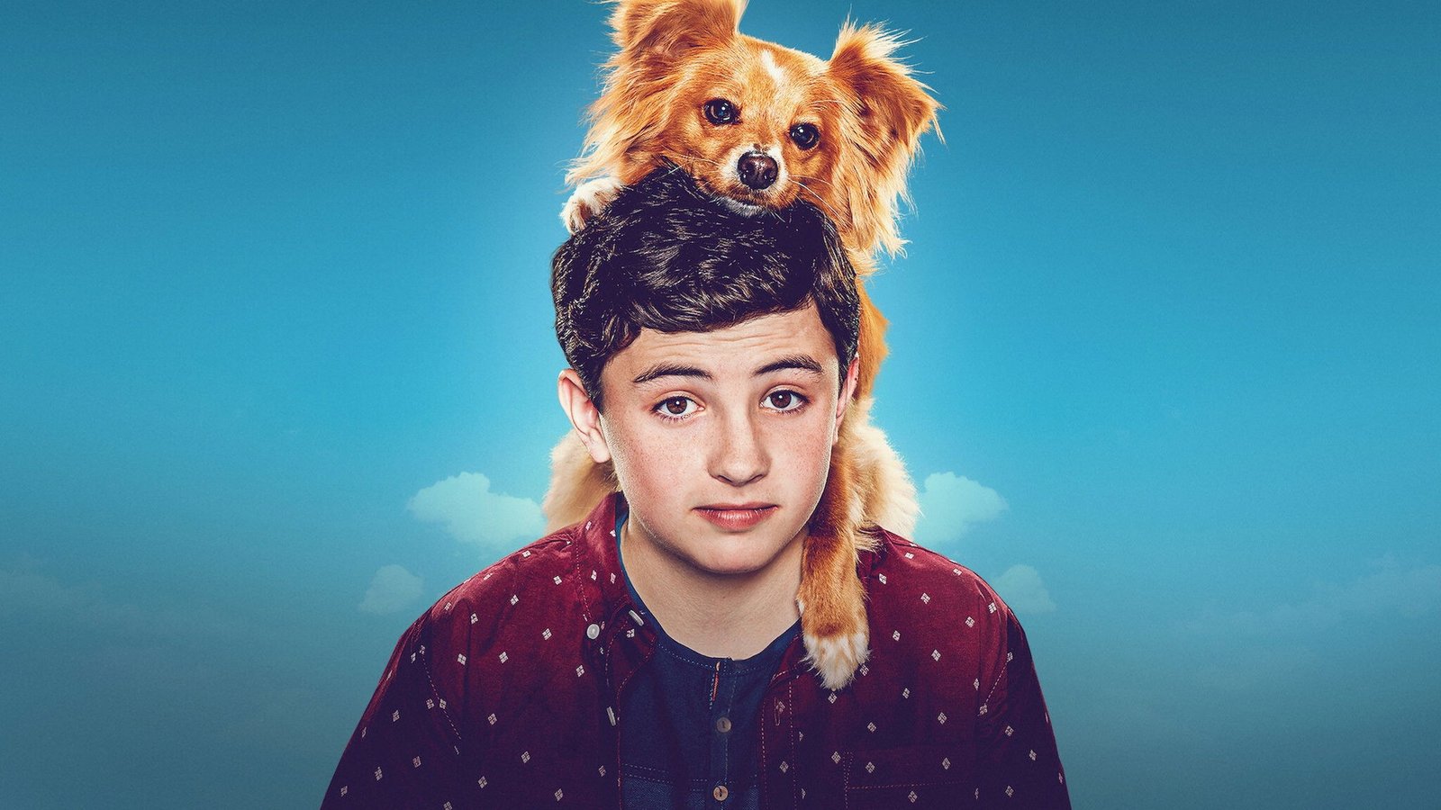 The Healing Powers of Dude