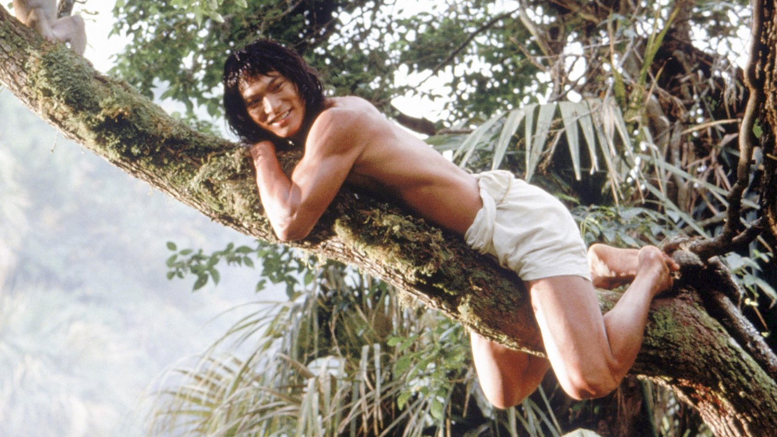 The Jungle Book 1994