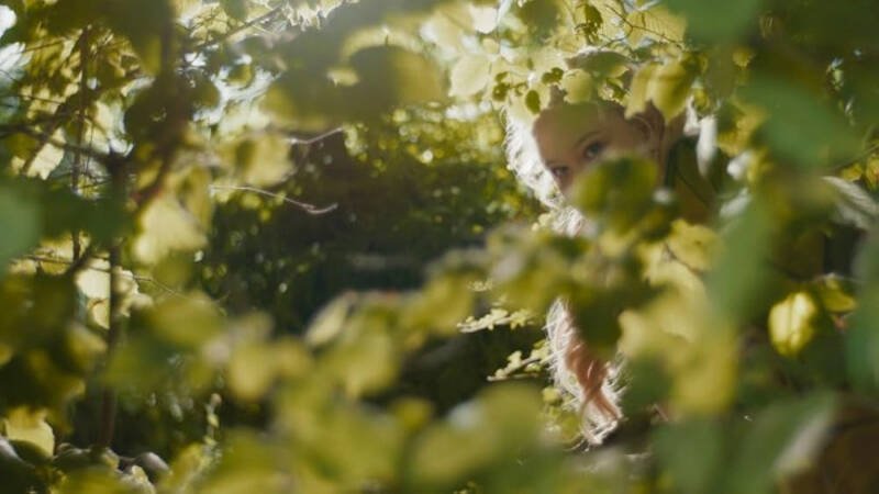 The Magic Faraway Tree