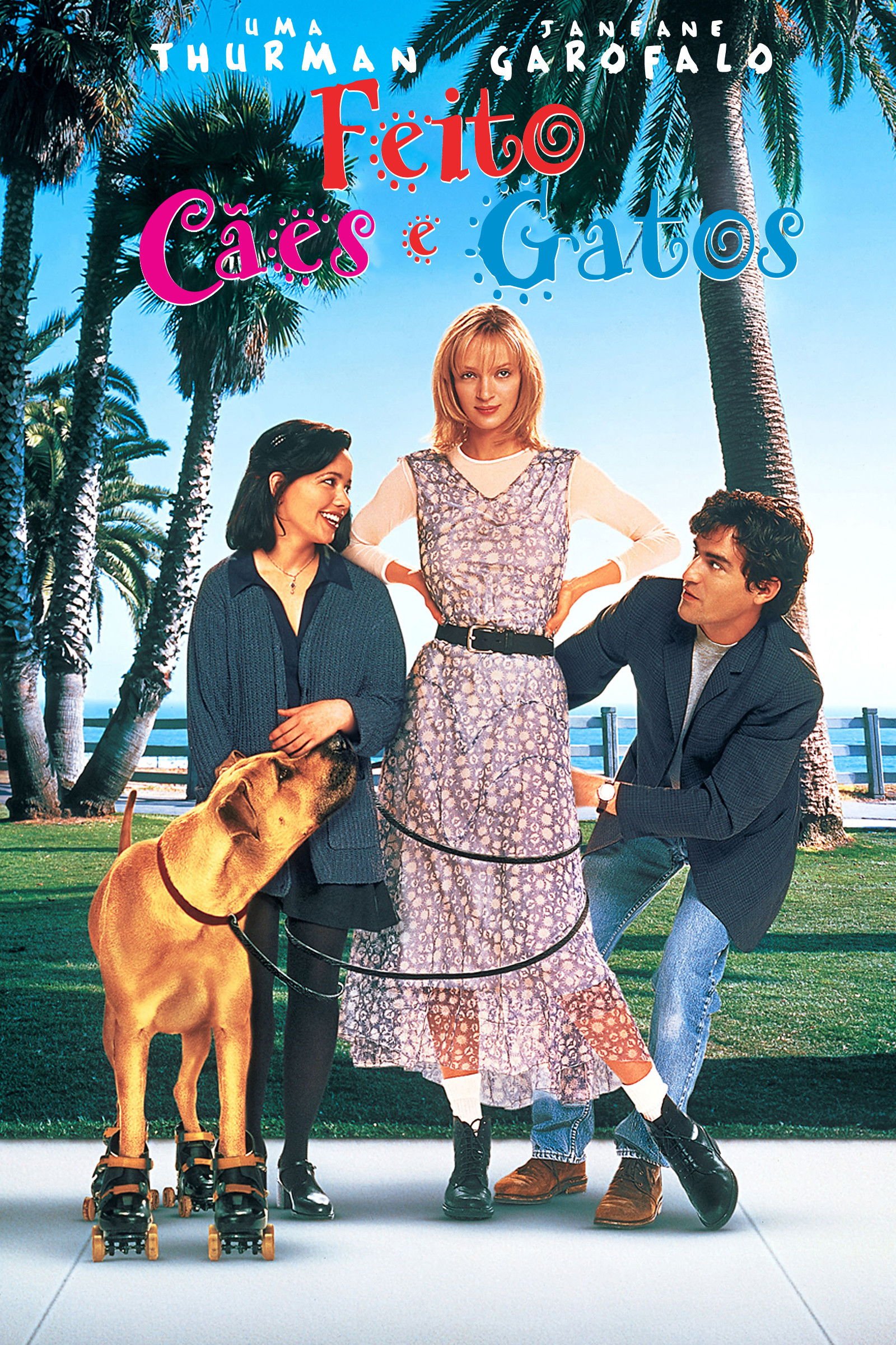 The Truth About Cats & Dogs