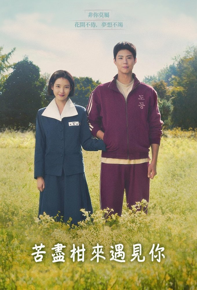 When Life Gives You Tangerines