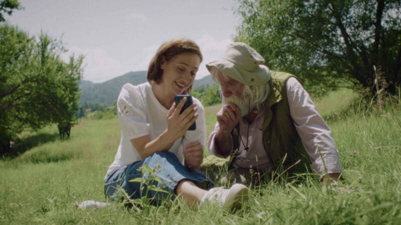 Wild Strawberries