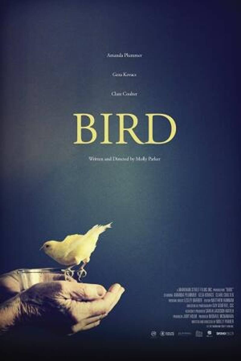 Bird 2017