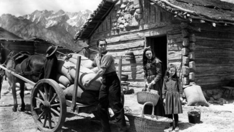 Brigham Young