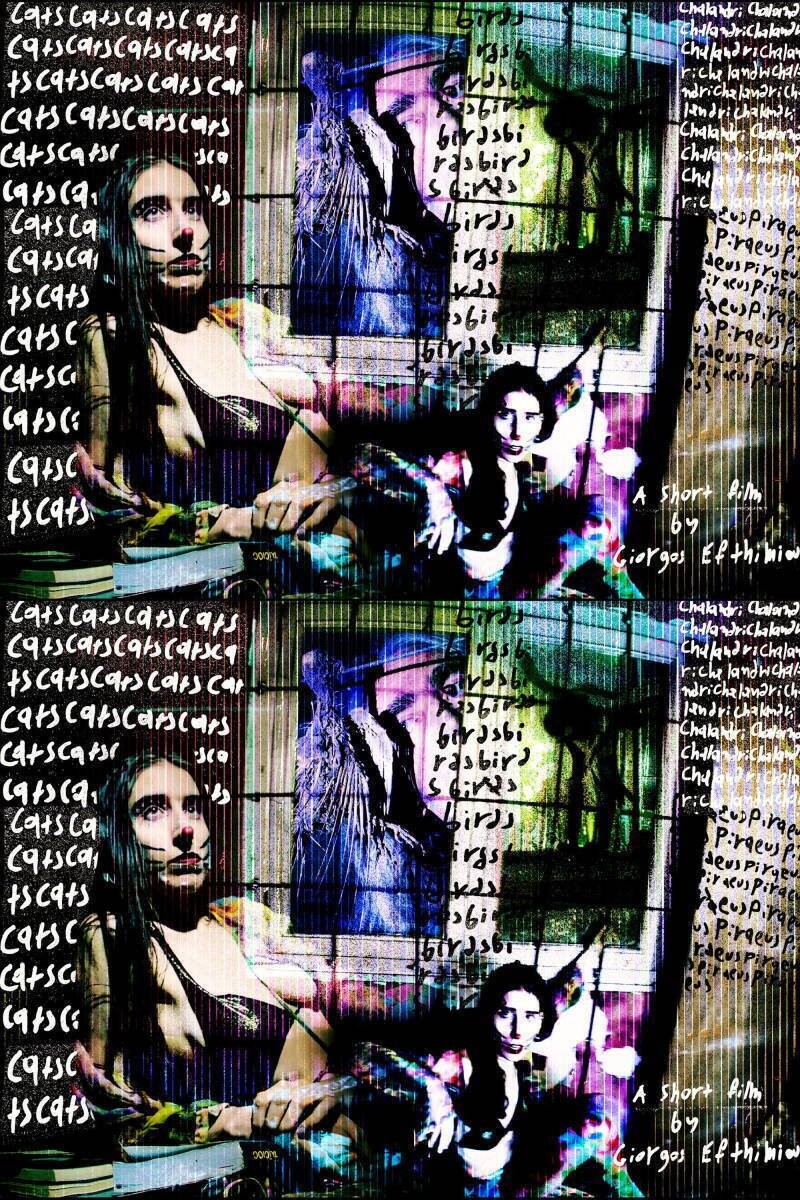 Cats, Birds, Chalandri, Piraeus