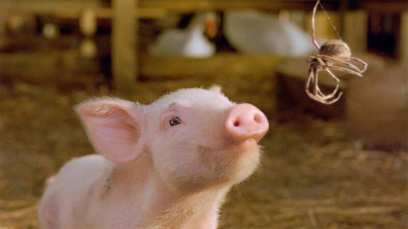 Charlotte's Web 2006