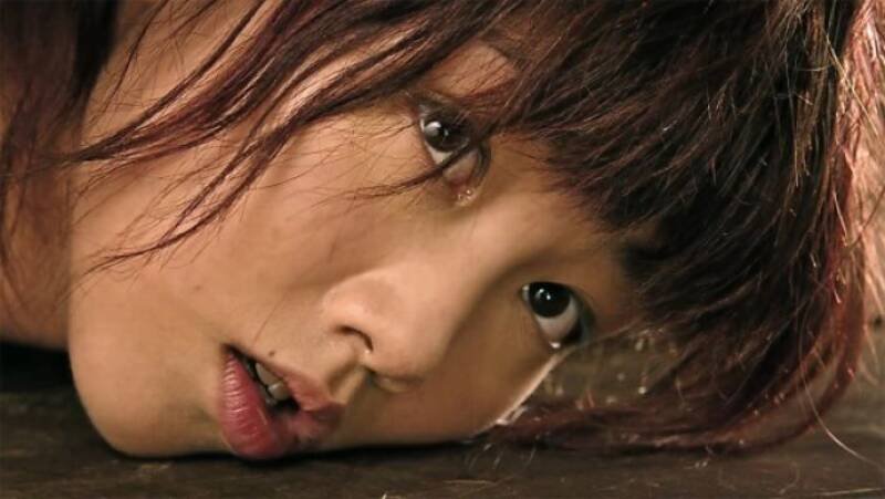 Concerto of the Bully