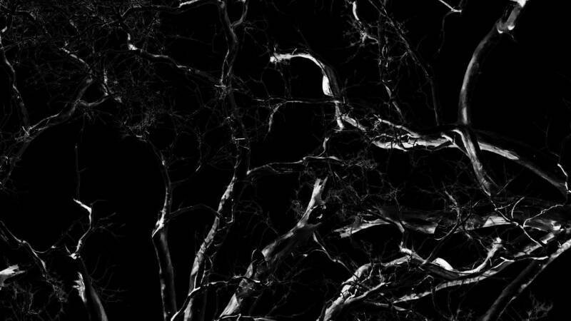 Dreams, Confessions and The End Of The World