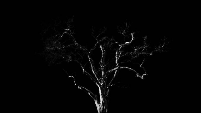 Dreams, Confessions and The End Of The World