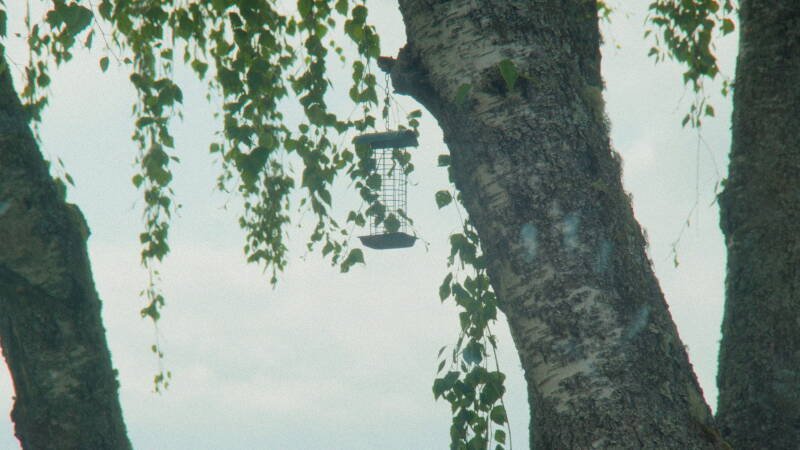 Du slår meg som en kul fyr