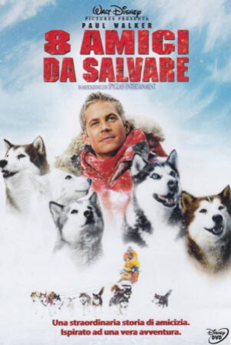 Eight Below