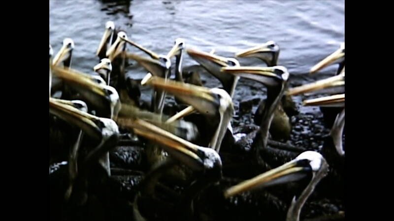 El Perú es un lugar para morir