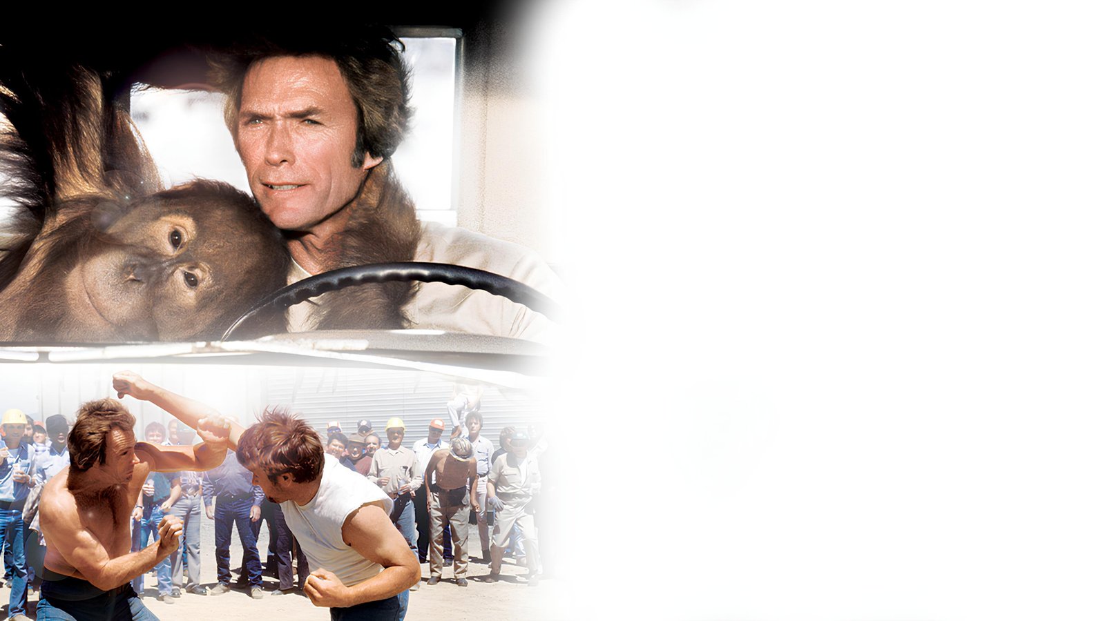 Every Which Way but Loose