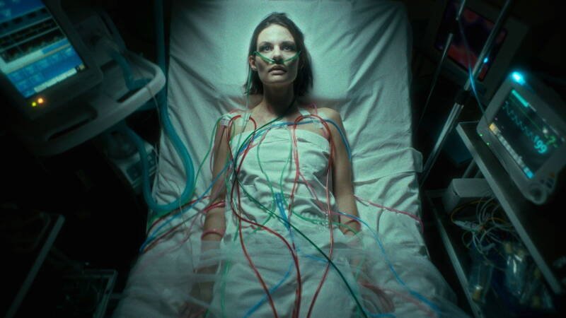 Flesh, Blood, Even a Heart