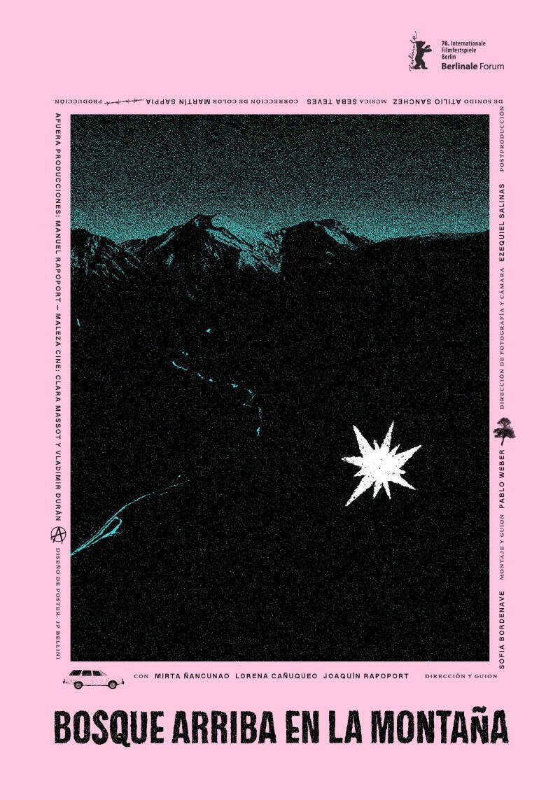 Forest up in the Mountain