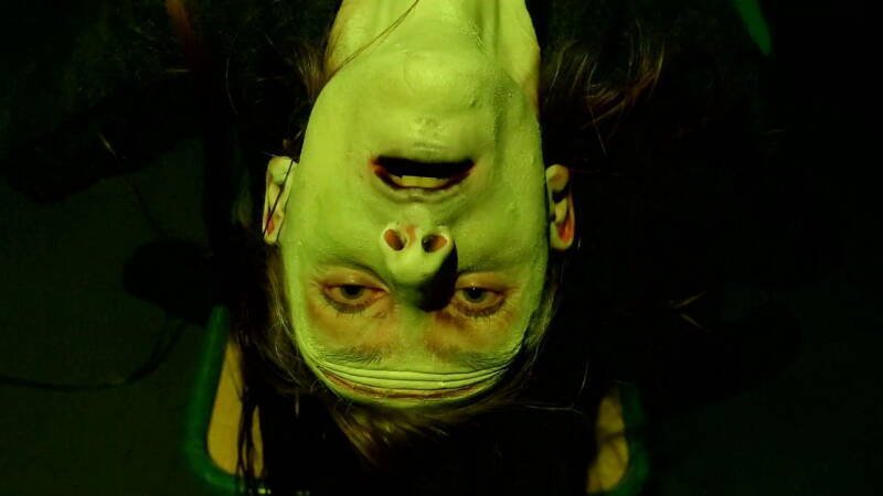 Frankenstein Created Robyn