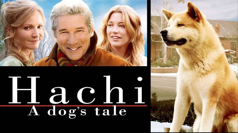 Hachi: A Dog's Tale