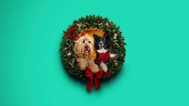 Happy Howlidays