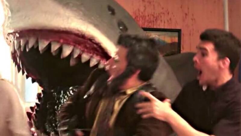 House Shark