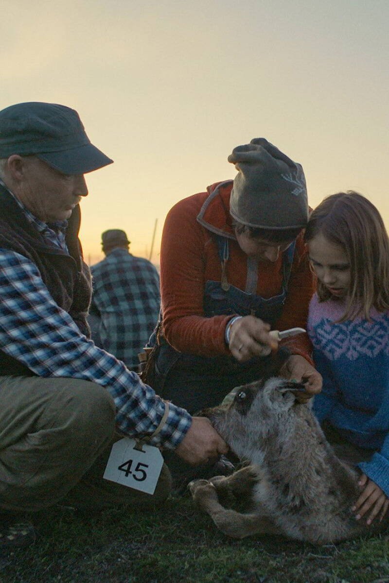 Let Our Mountains Live