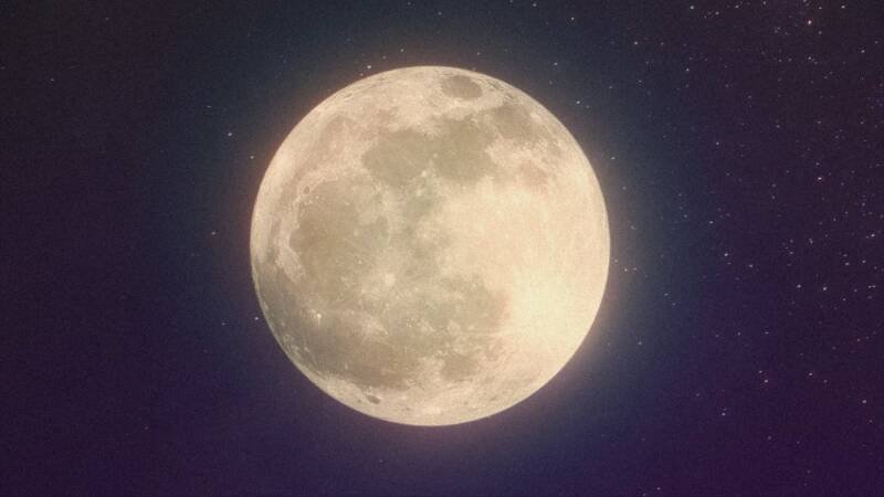 Miraculous World: Shanghai - The Legend of Ladydragon