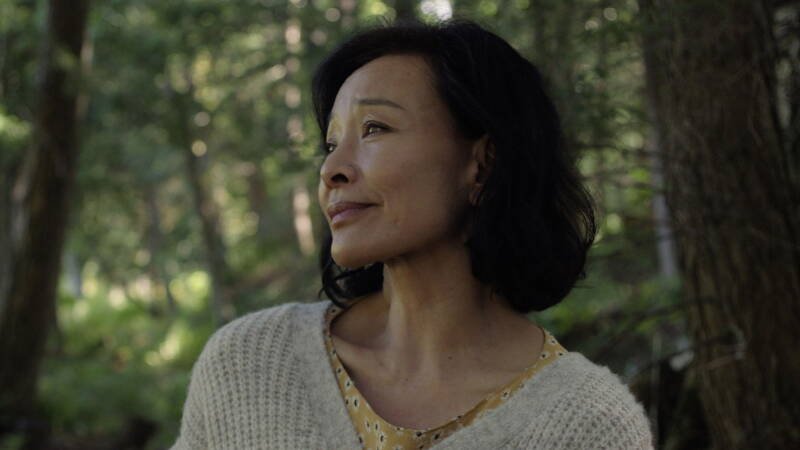 Montreal, My Beautiful