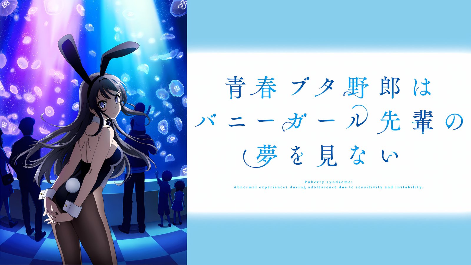 Rascal Does Not Dream of Bunny Girl Senpai