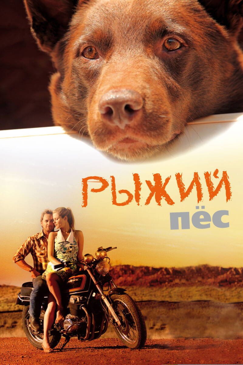 Red Dog