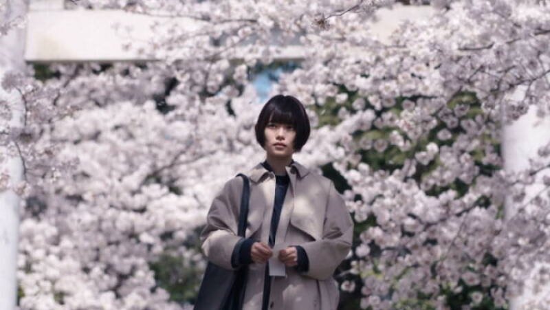 Sakura