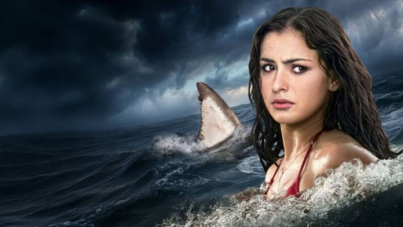 Shark Terror