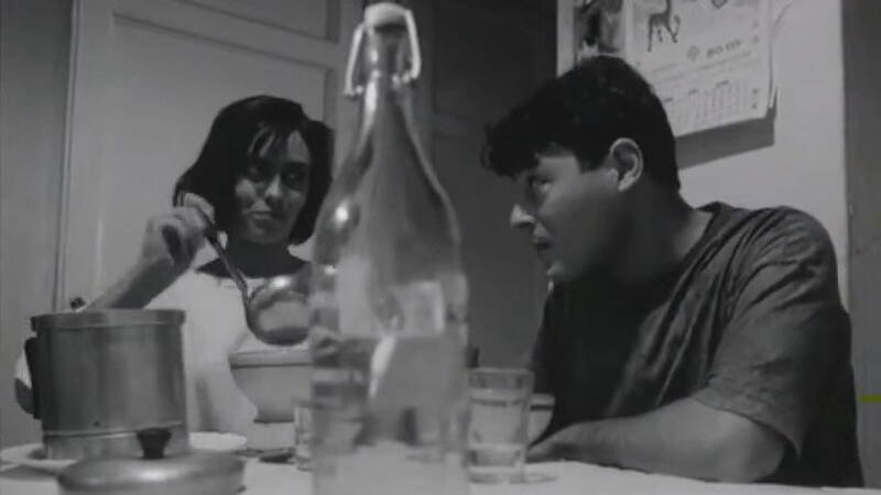 The Marvellous World of the Cucu Bird