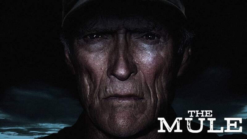 The Mule