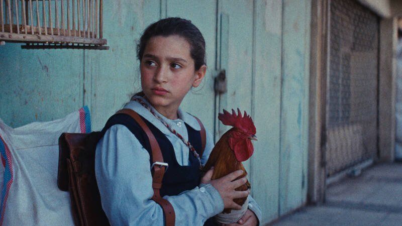 The President's Cake