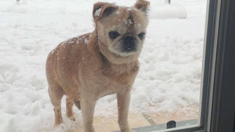 Would I Lie to You? 2